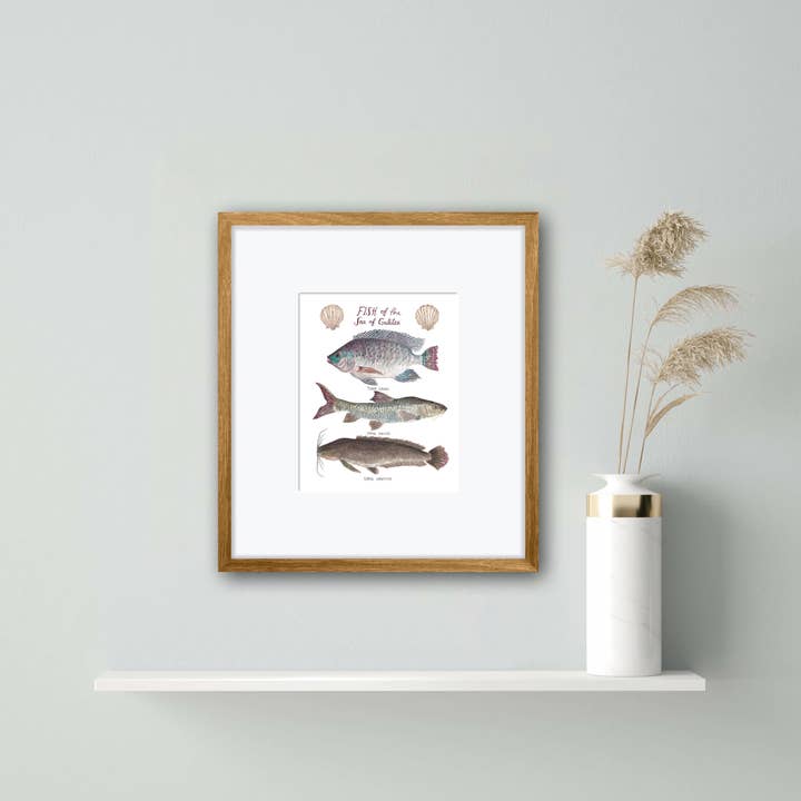 Little Harbor Studio - Wholesale Art Print - Fish of the Sea of Galilee Fine Art Print2