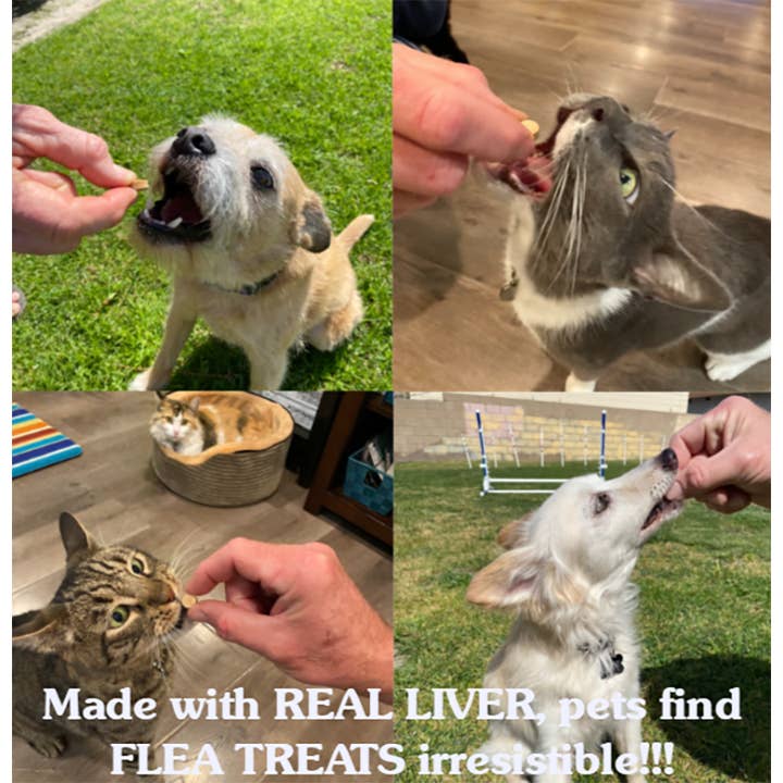 Flea Treats - Wholesale Pet supplement – Cat/dog - Flea Treats 100 Ct Vitamin B-Complex Supplement Dogs & Cats3