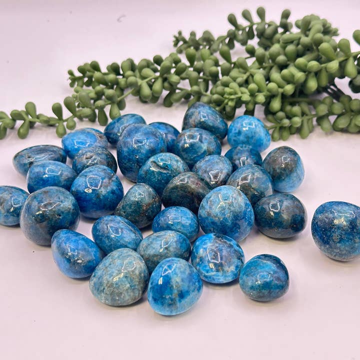 Blå Apatit Polerede Sten (0,5 kg/1,1 lbs) 30-35 mm AAA for engroshandel hos Meraki Gemstones