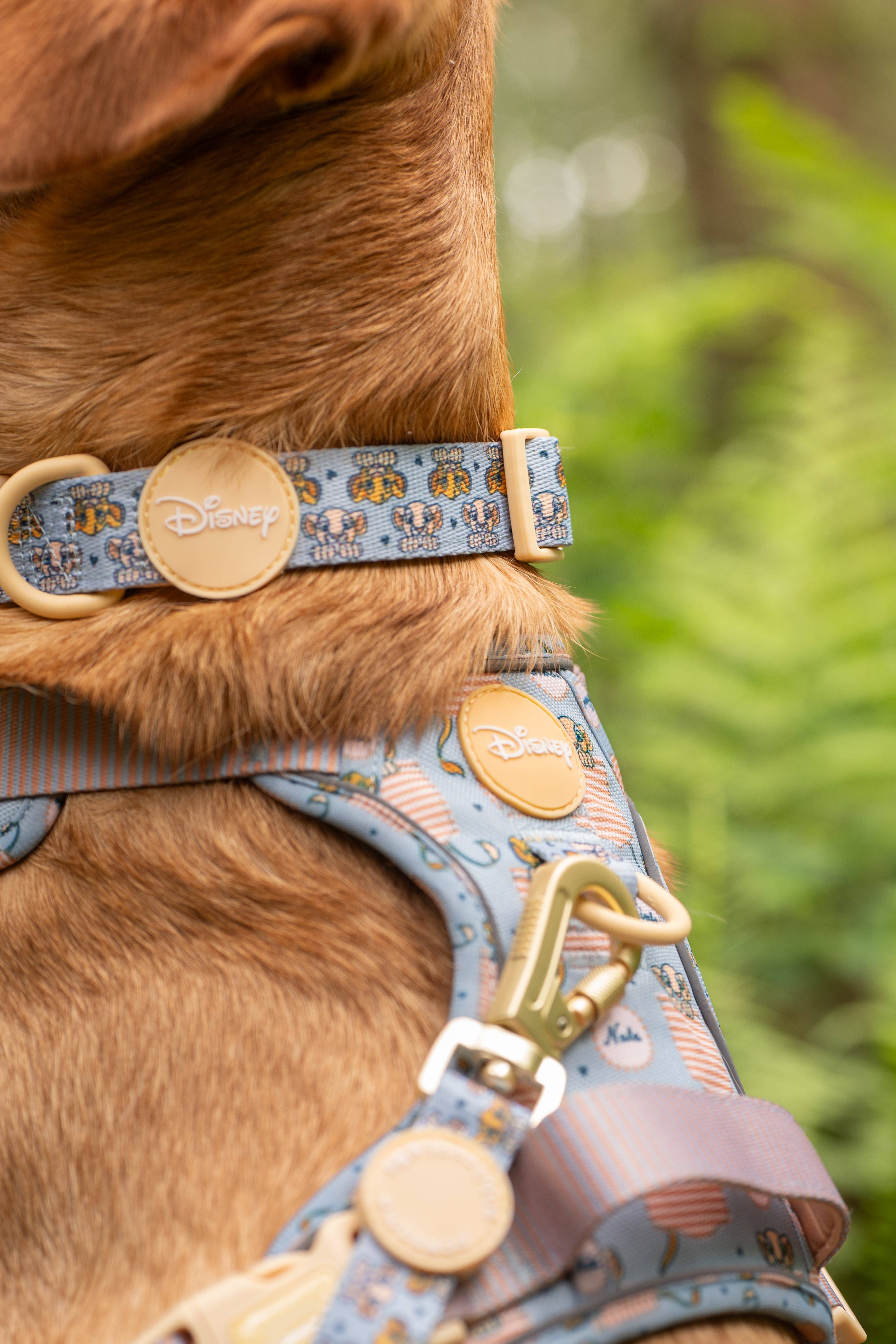 Pawsome Paws - Vendita all'ingrosso Collare - Cani - Collare Disney© - Amici del leone3