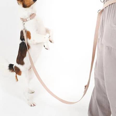 Leash "Handsfree" for wholesale by Kali Dogwear