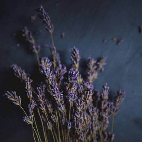 Savons Arthur - Vendita all'ingrosso Unguenti/Balsami/Creme curative - Balsamo Riparatore Biologico alla Lavanda1