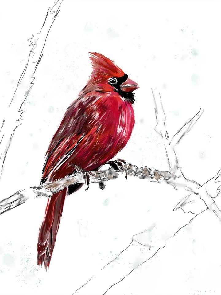 Cardinal in the Snow Print for wholesale by Third Wolf Designs