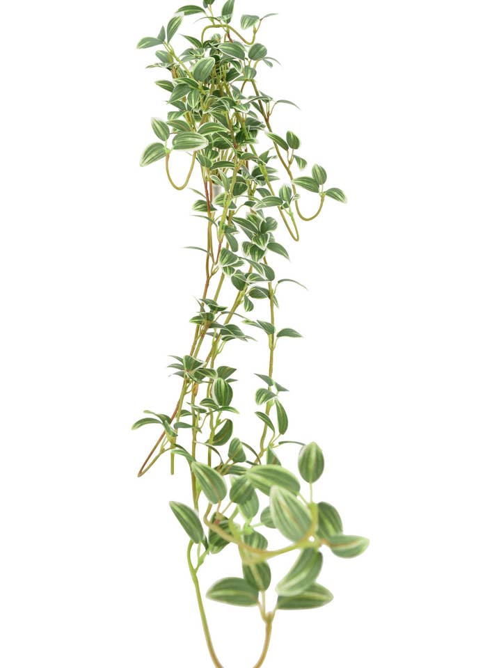 34" Laubstrauch zum Aufhängen für den Großhandel von Tremont Floral Supplies