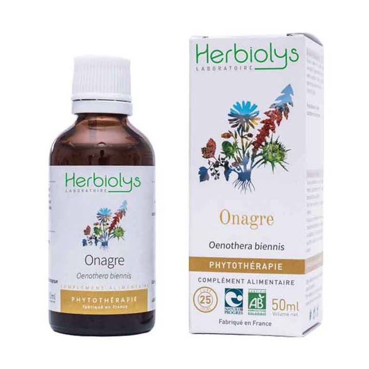 Natlys Fytoterapi for engroshandel hos Herbiolys