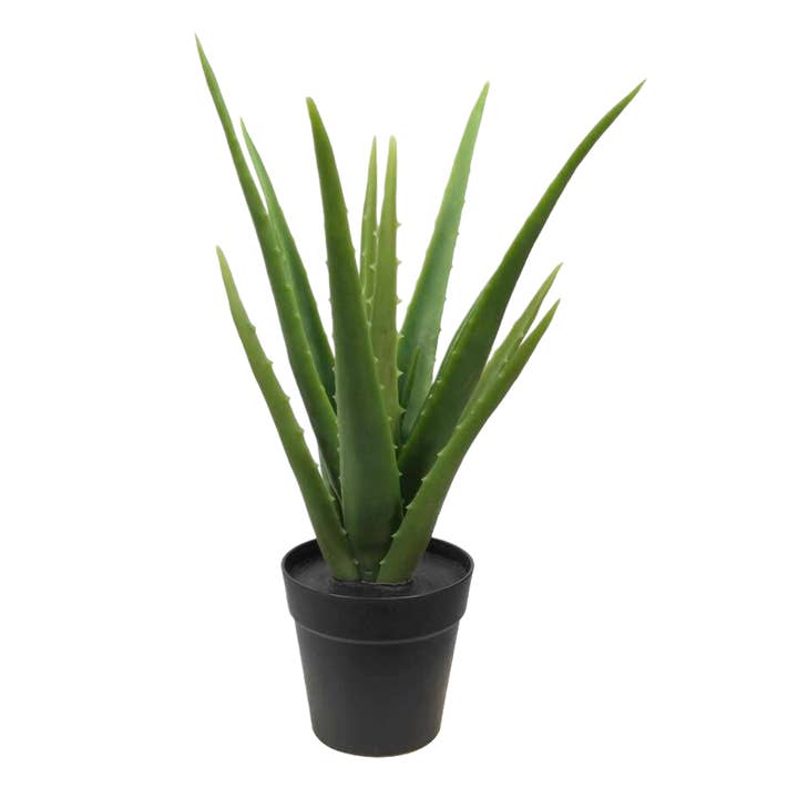 Michael & Philipp Noll e. K. – Engroshandel Kunstig plante – Aloe vera plante, kunstig plante, i sort potte, meget ægte