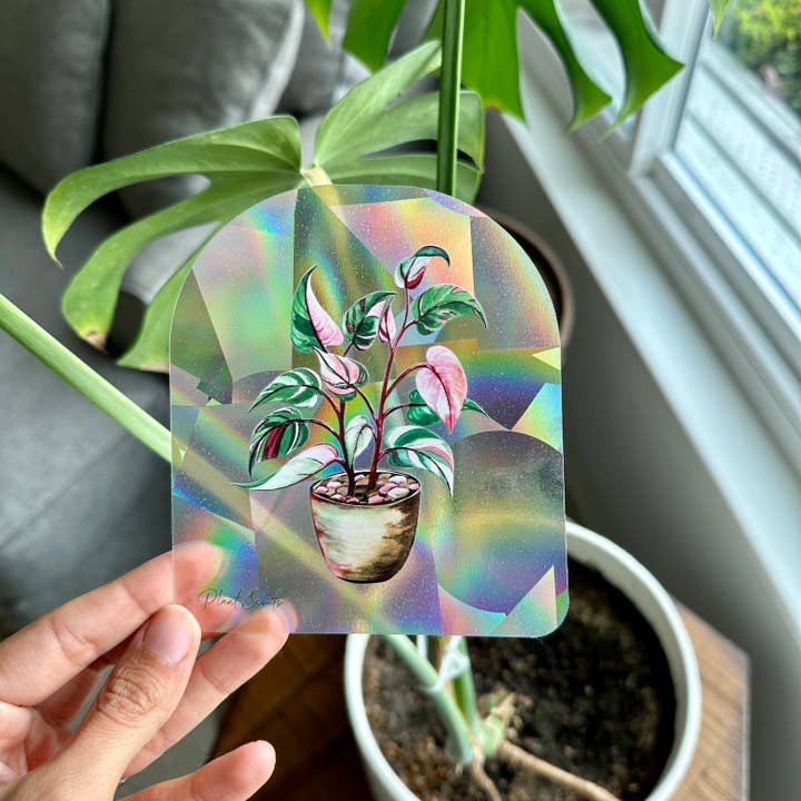 Plant Scouts - Wholesale Suncatcher - Rainbow Making Suncatcher Window Decal - Pink Princess4