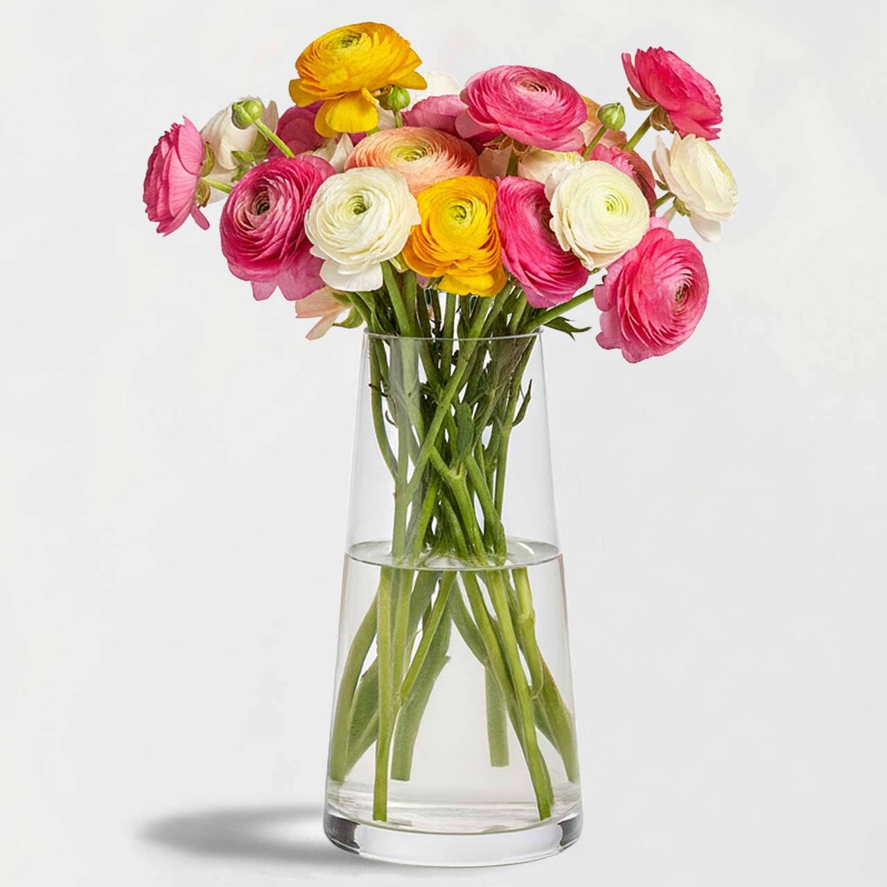 Couronne Co. - Wholesale Vase - Harligen Glass Vase0