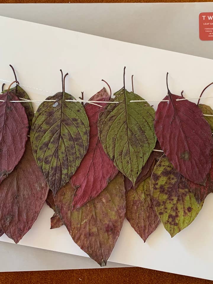 Dried Red Twig Dogwood Leaf Garland -Natural Forest Decor for wholesale by Twig and Snip