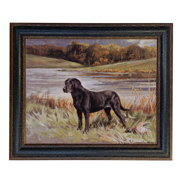 Madison Bay Co. - Historical Home Decor Reproductions - Wholesale Art Print - Labrador Retriever with Duck Framed Painting Print on Canvas77