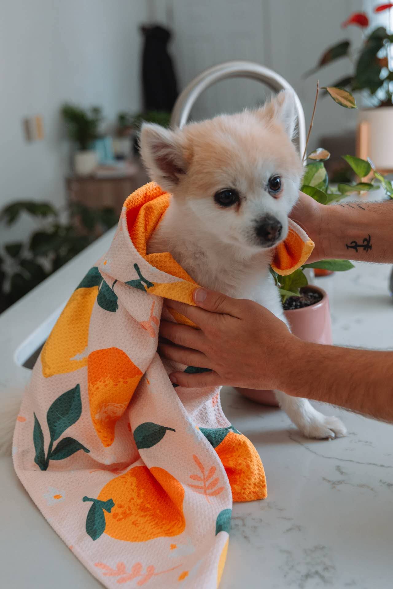 RHB HAWAII – Großhandel Geschirrtücher – Grünes Geschirrtuch der hawaiianischen Armee7