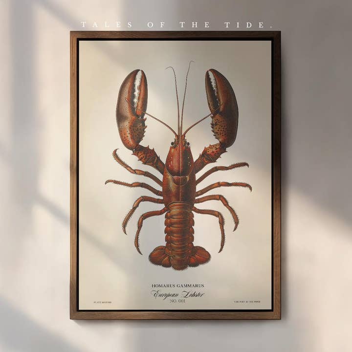 Red Lobster Print, Naturalist, Antique Vintage Style Print for wholesale by The Poet and The Piper