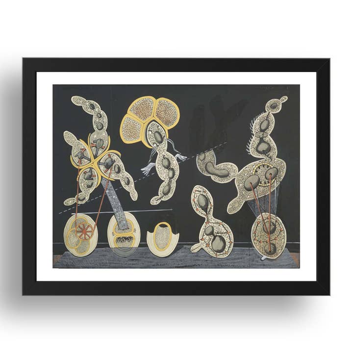 Max Ernst: La bicicletta graminacea guarnita di campanelli i fuochi fatui chiazzati e gli echinodermi che piegano la spina dorsale per cercare carezze, opera d'arte modernista, riproduzione poster formato A3 in cornice nera 17x13" per la vendita all'ingrosso da parte di PERIOD PRINTS