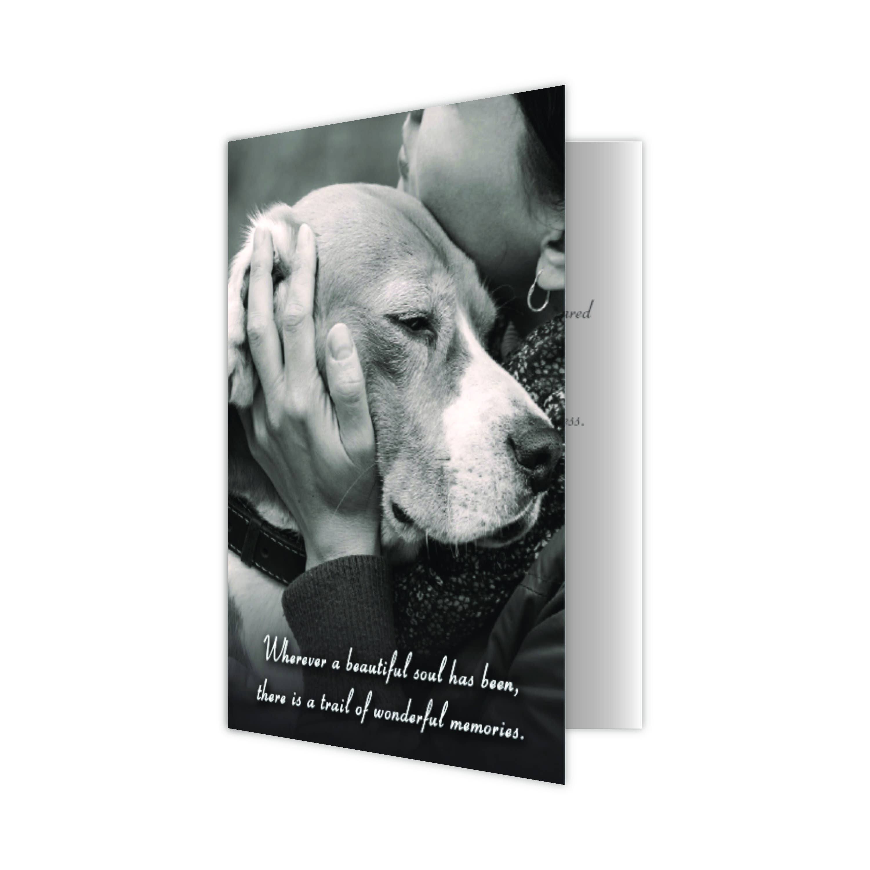 Dog Speak - Wholesale Retailer Display - Paper & Novelty - 24 Greeting Card Assortment with Counter Display1