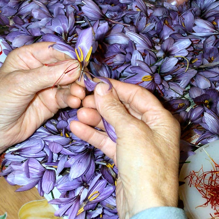 Gutierrez Zamora, S.L.U - Vente Épices séchées - Safran biologique à Hebra de Teruel, pot 1g/Spanish5