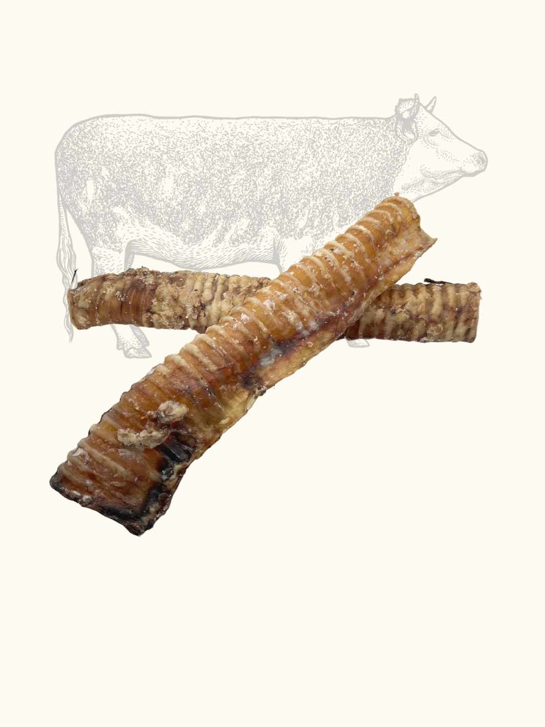 Truffe Délice - Vente Friandises – chien - Trachées de bœuf0