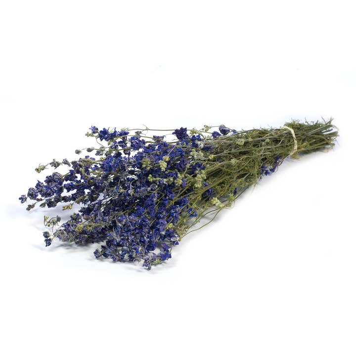 Willow Group - Wholesale Dried/Pressed Flowers - Delphinium Flower Spray Natural Blue