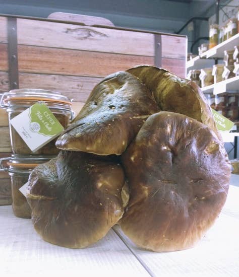 L'armoire A Conserves - Wholesale Pickled Vegetables - FRIED PORCINI MUSHROOMS IN OIL 300G2