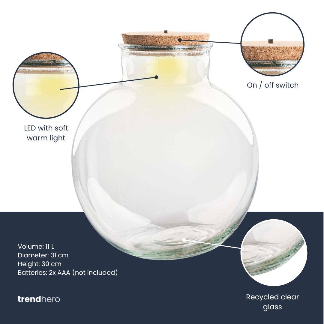 Trendhero.nl/b2b - Wholesale Terrarium - Terrarium bottle 'Teddy' - Incl. (LED) cork - Closed terrarium Ø 25 cm ↑ 26.5 cm1