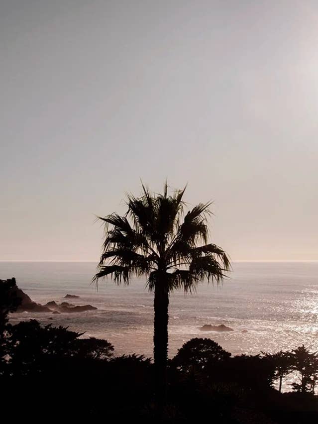 Kust nr 1 för wholesale av Wilder California