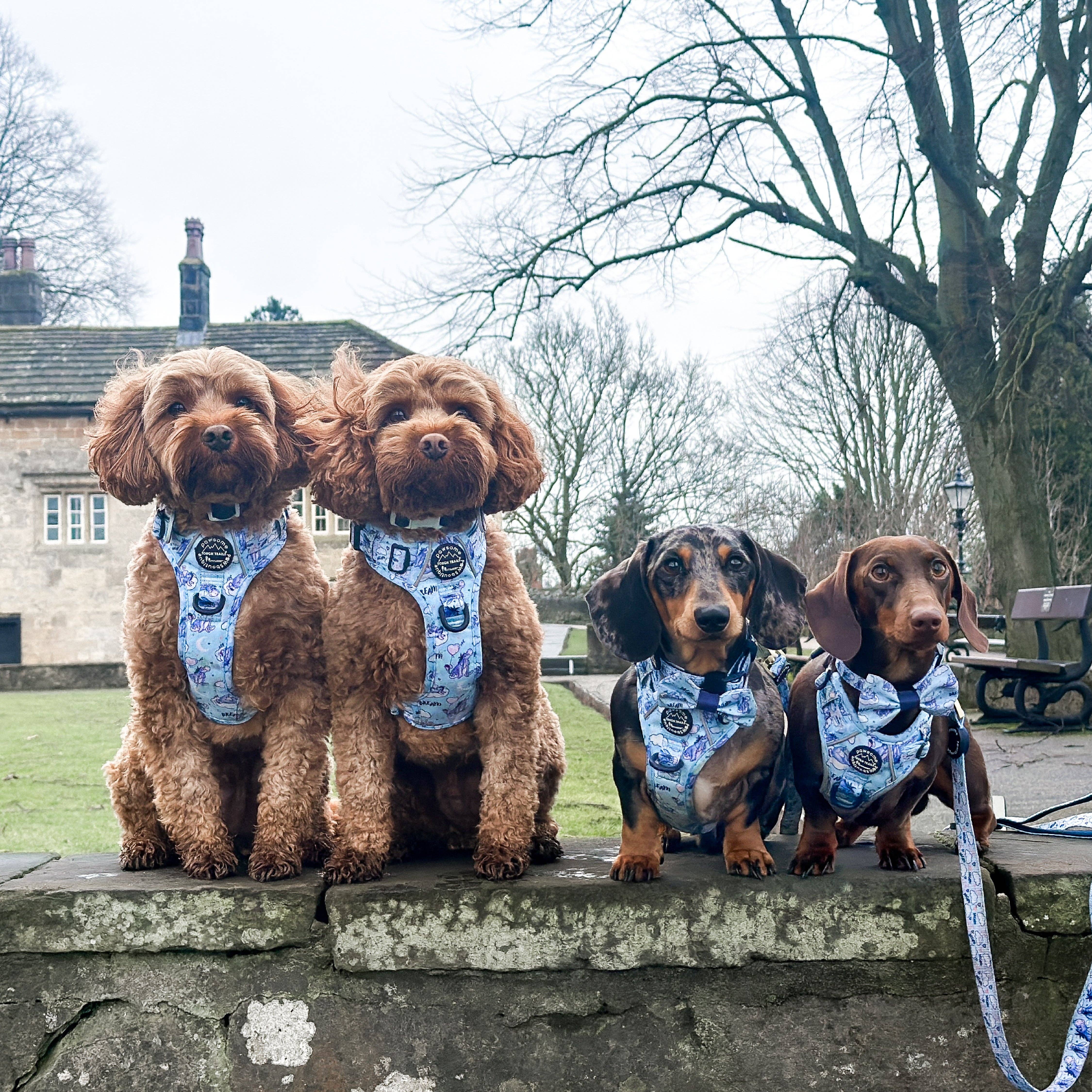 Pawsome Paws - Vendita all'ingrosso Pettorina - Cani - Disney© Tough Trails™ Pettorina - Ih-Oh36