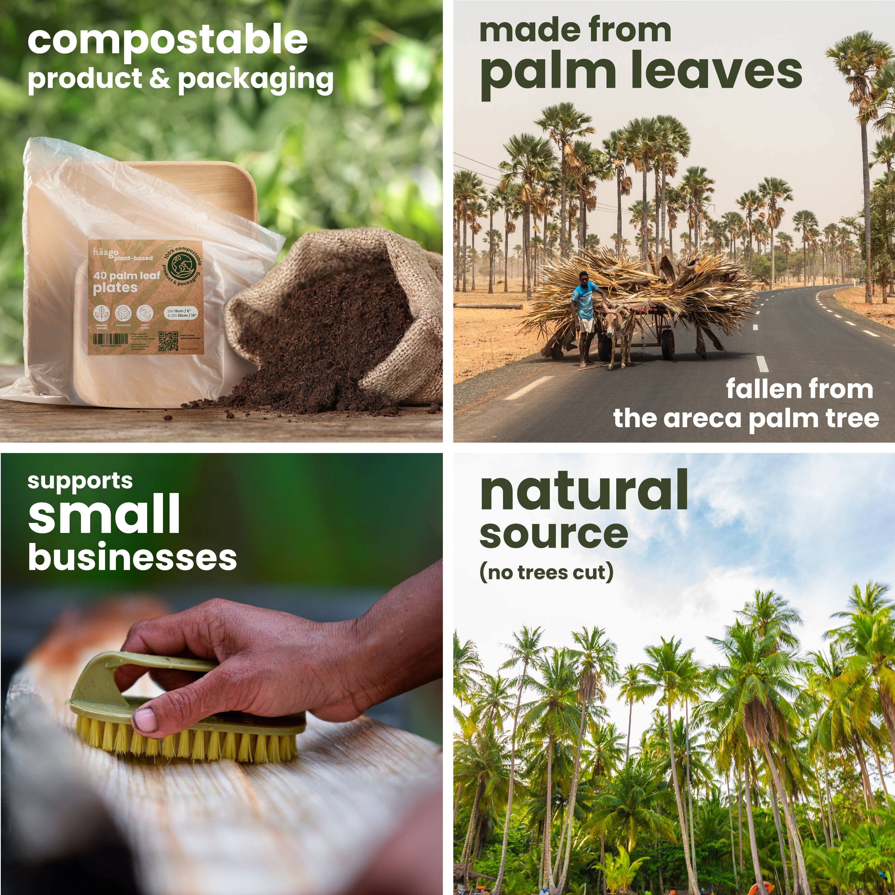Häago - Wholesale Disposable Plate - 20 Recyclable Palm Leaf Plates3