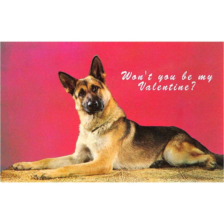 Postcard VL-105 Wont You be My Valentine? Quizzical German S for wholesale by Found Image Press