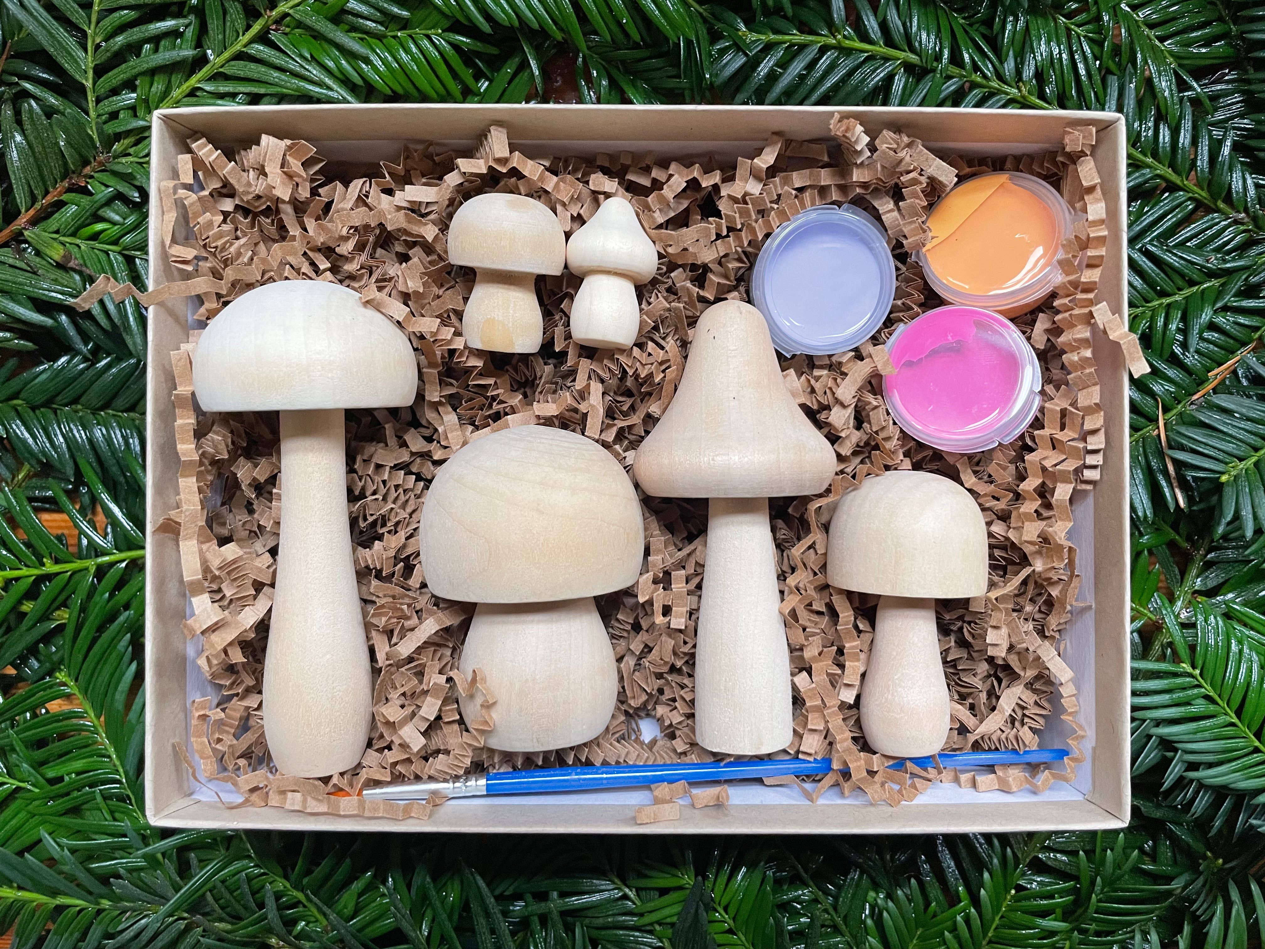 Bramble Workshop - Wholesale DIY Craft Kit - DIY Painted Mushroom Kit- bright3