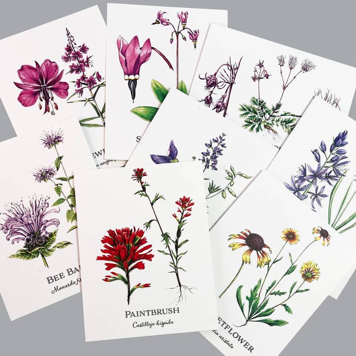 Wildflower Card Set - 8 assorted flowers for wholesale by Madrona Press