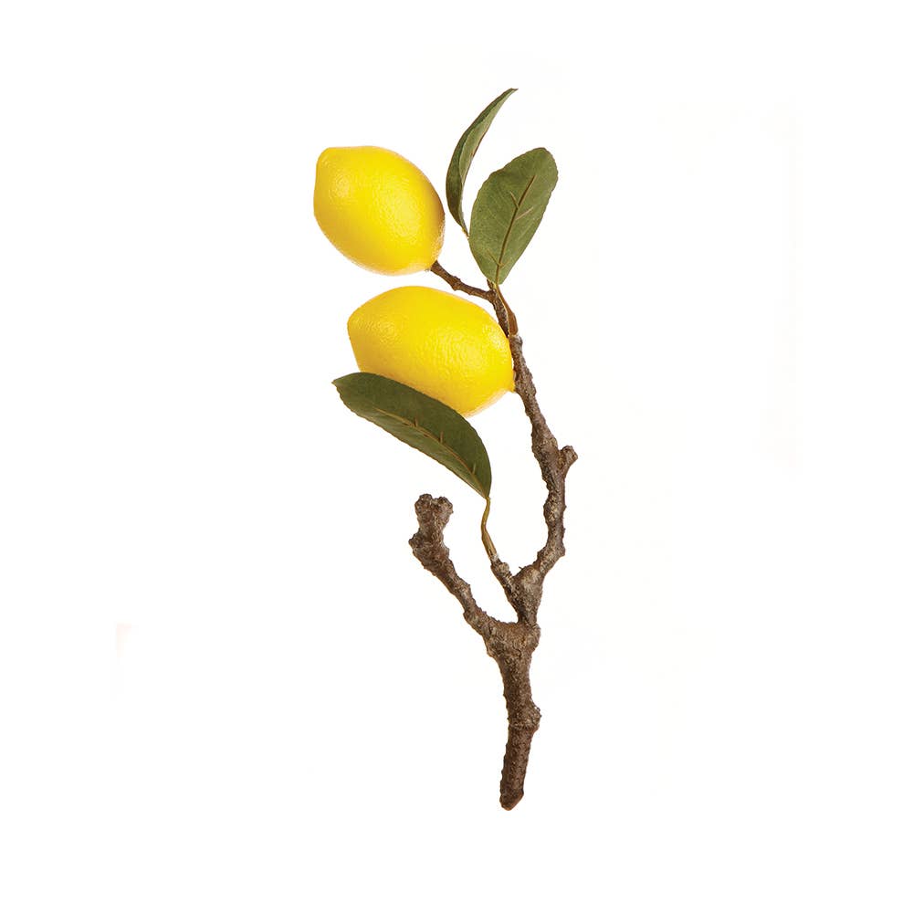 Napa Home & Garden - Wholesale Artificial Plant - Lemon Cutting 11"0