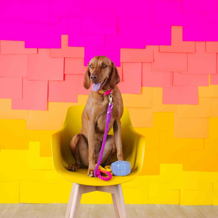 Pink Papyrus | Premium, Durable, & Stylish Dog Products ā wholesale Pet poo bag dispenser ā Ava Lilac Vegan Leather Poop Bag Dispenser And Treat Pouch5