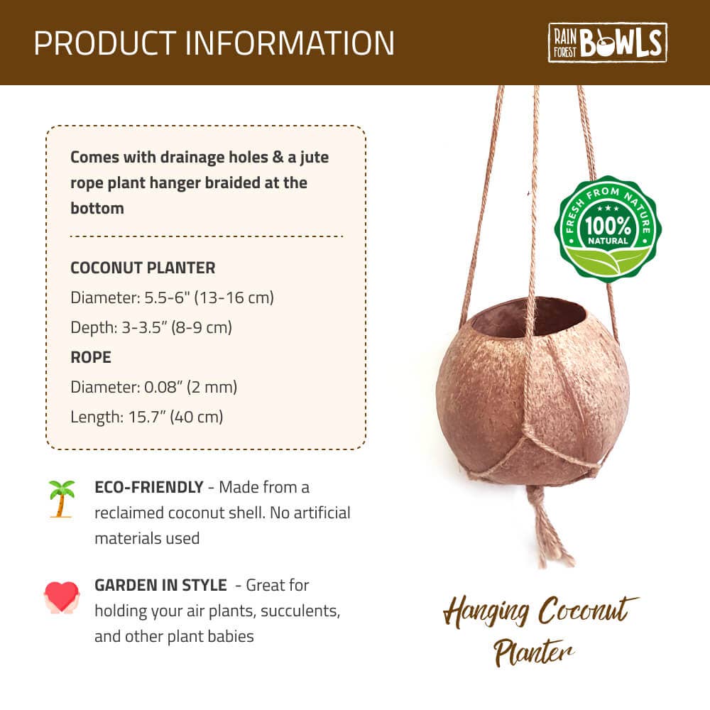 Rainforest Bowls - Wholesale Hanging Planter - Hanging Coconut Planter8