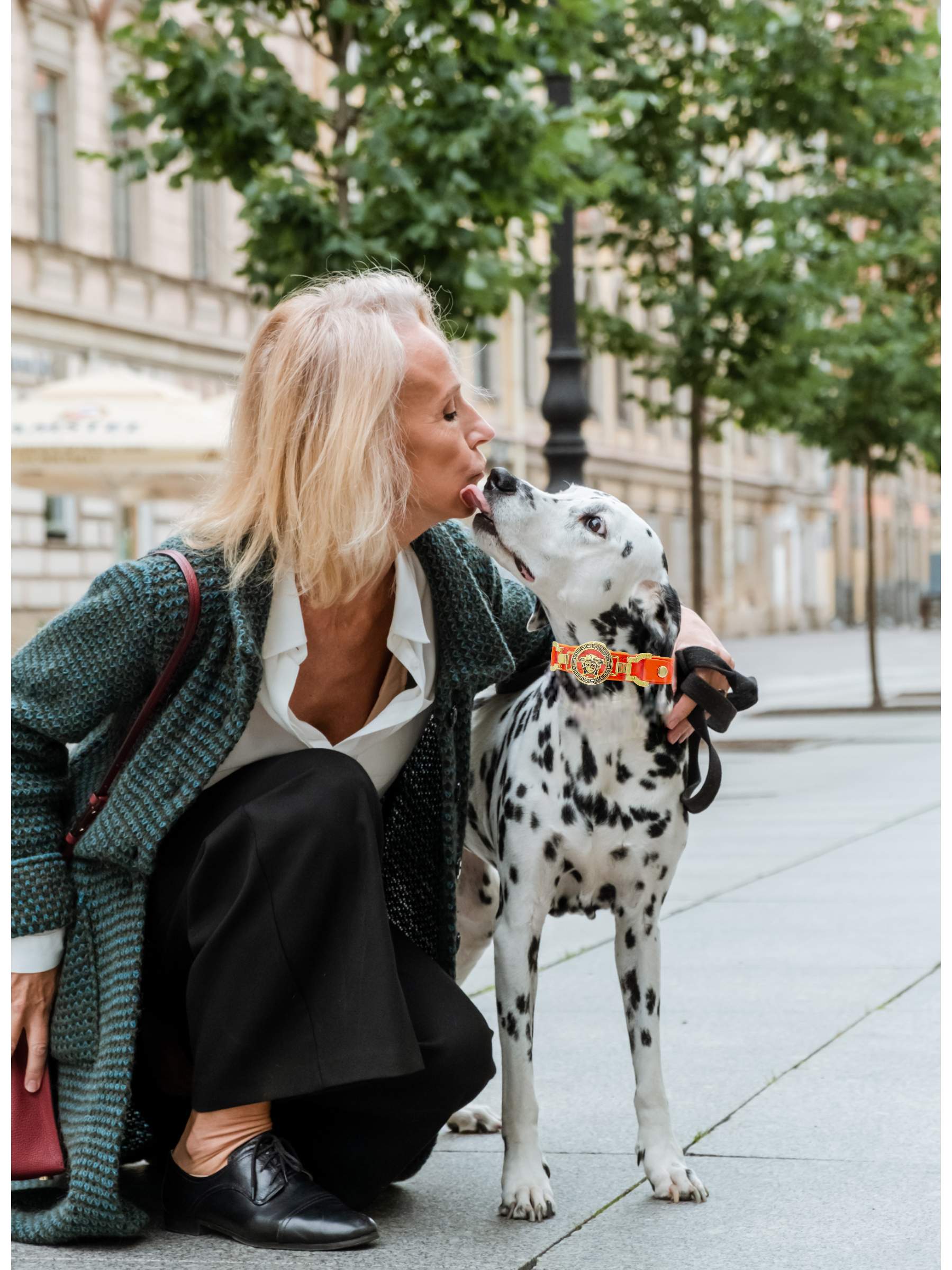 PupWiser - Wholesale Pet Collar - Dog - VERNEN Handmade Leather Collar1