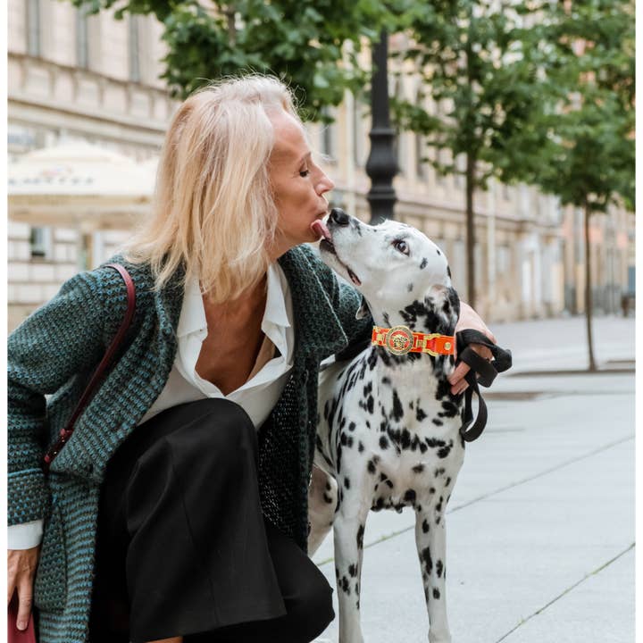 PupWiser - Wholesale Pet Collar - Dog - VERNEN Handmade Leather Collar1