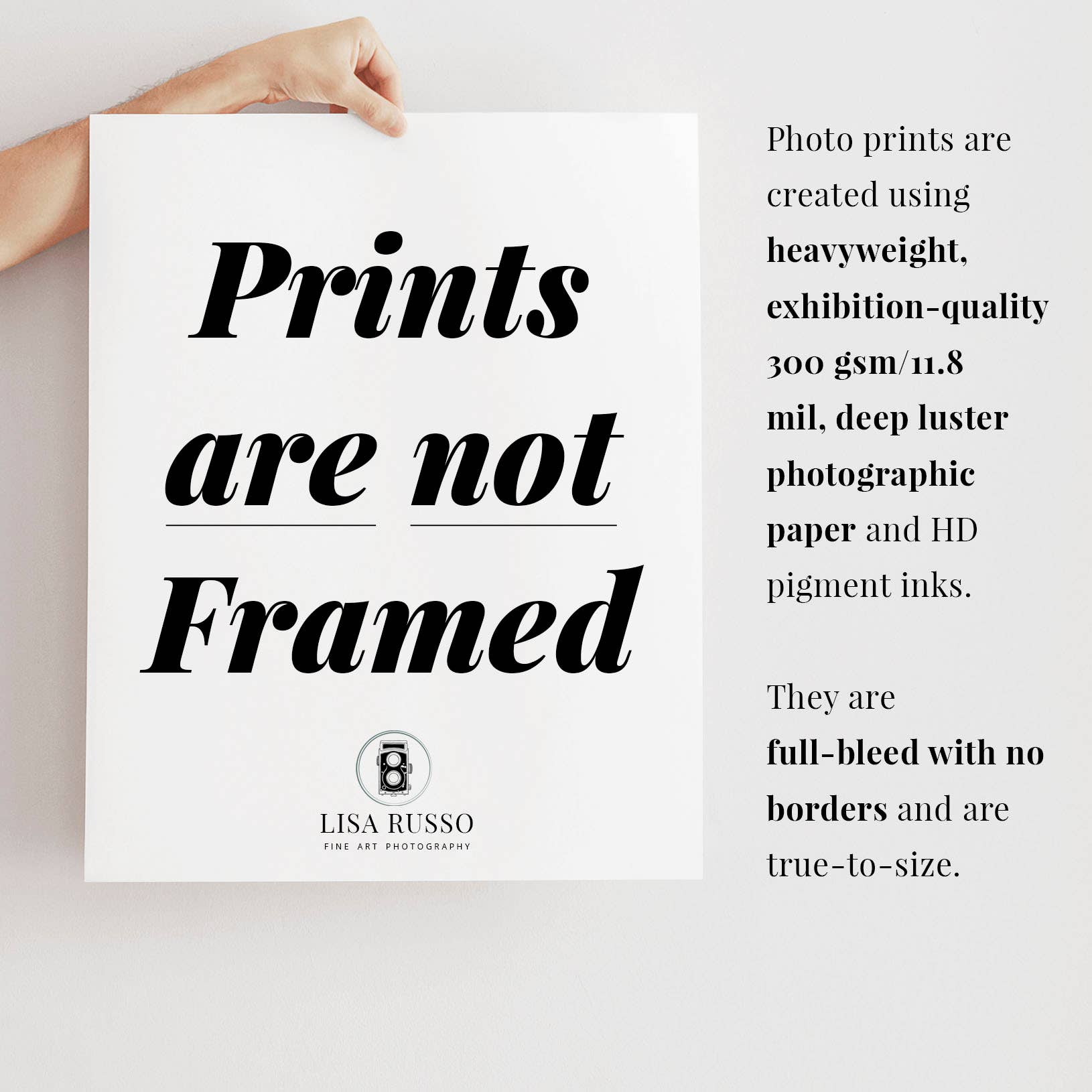 Lisa Russo Fine Art - Wholesale Art Print - Holiday Barn Wall Art Print | White & Green | Farmhouse 4