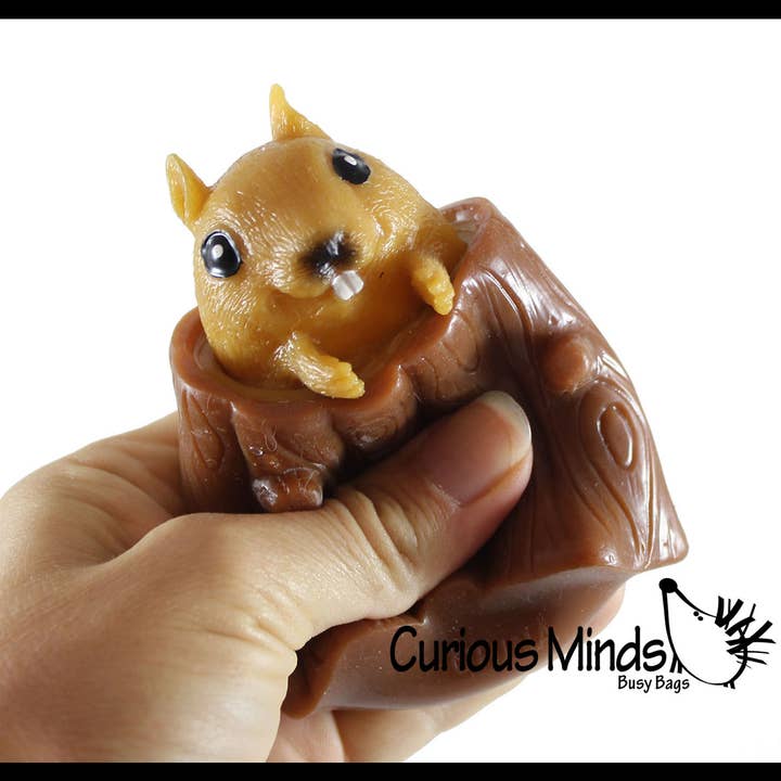 Curious Minds Toys - Wholesale Squishy Toy - Kids & Baby - 1 Squirrel in Stump - Adorable Pop Up - Cute Squeeze Toy - F7