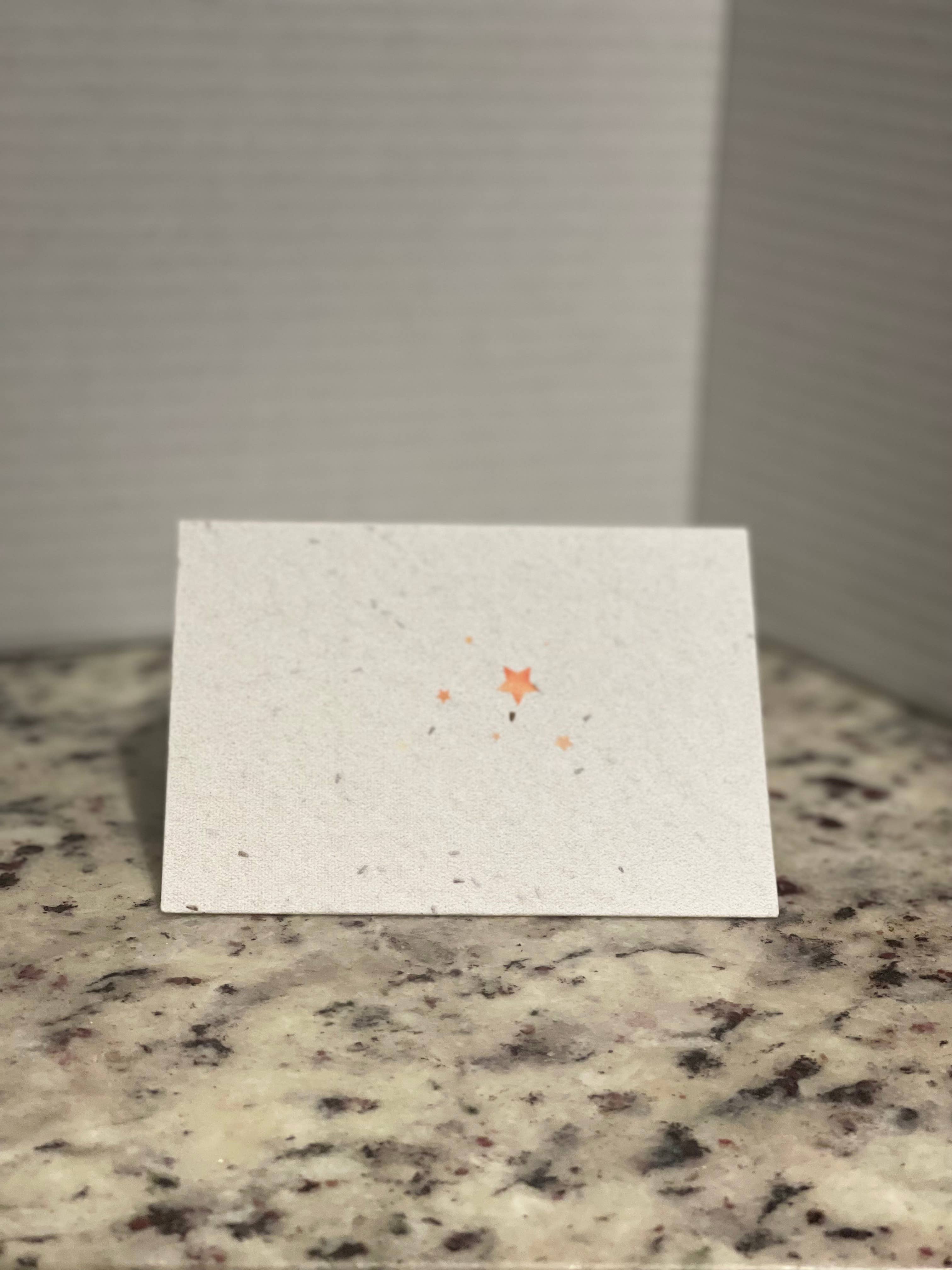 Granny B's Holiday Depot - Wholesale Christmas Card - Plantable Christmas Cards8