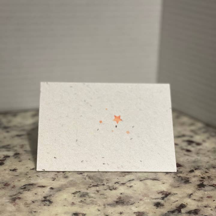 Granny B's Holiday Depot - Wholesale Christmas Card - Plantable Christmas Cards8