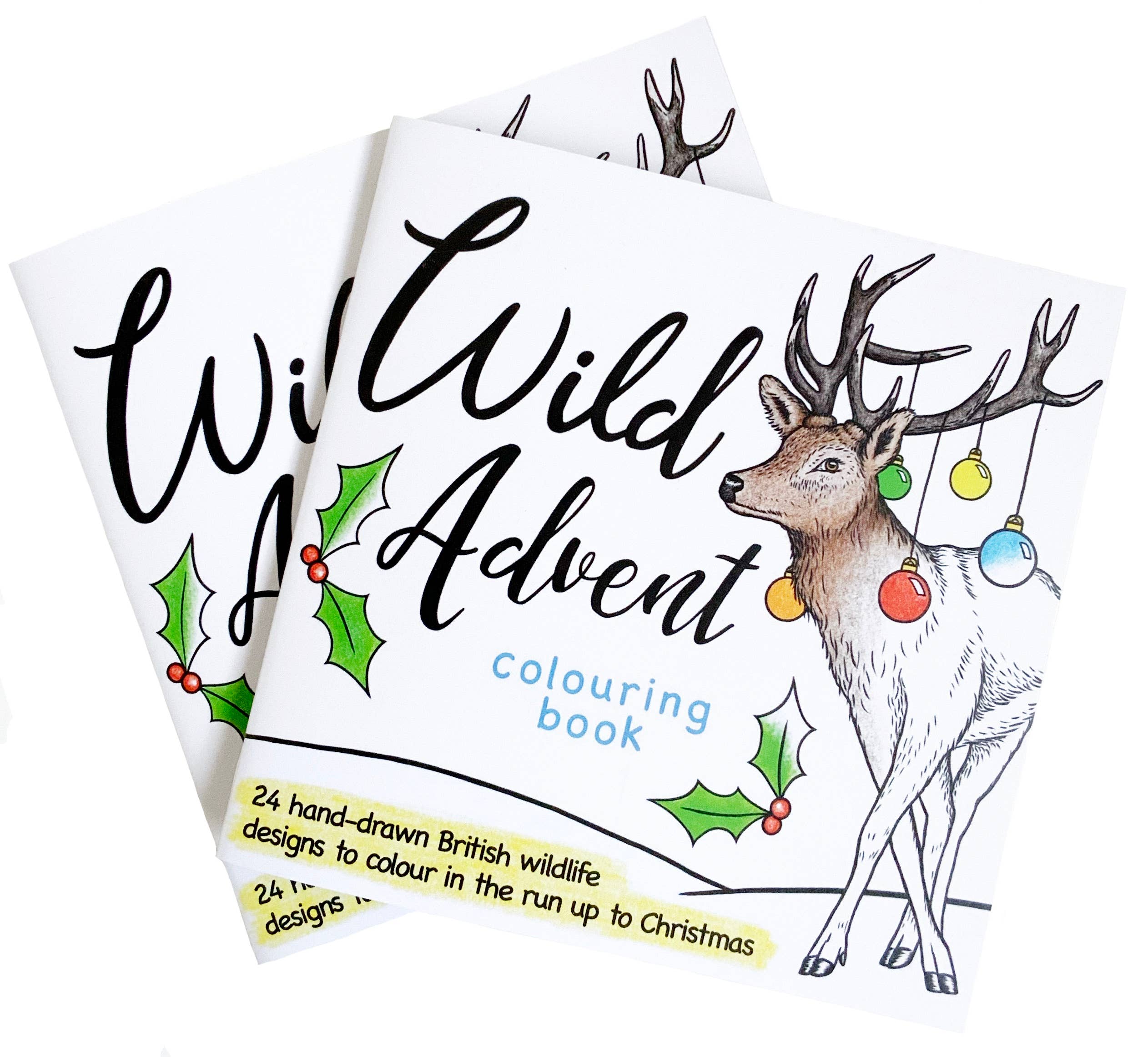 Wild Lines - Wholesale Coloring & Activity Book - Kids & Baby - Wild Advent Colouring Book - Kids Advent Calendar Activity2