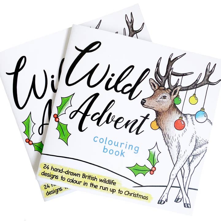 Wild Lines - Wholesale Coloring & Activity Book - Kids & Baby - Wild Advent Colouring Book - Kids Advent Calendar Activity2