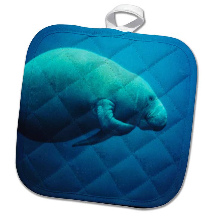 3dRose, Sødt billede af Florida-søko, der klør sig selv, grydelap for engroshandel hos 3dRose