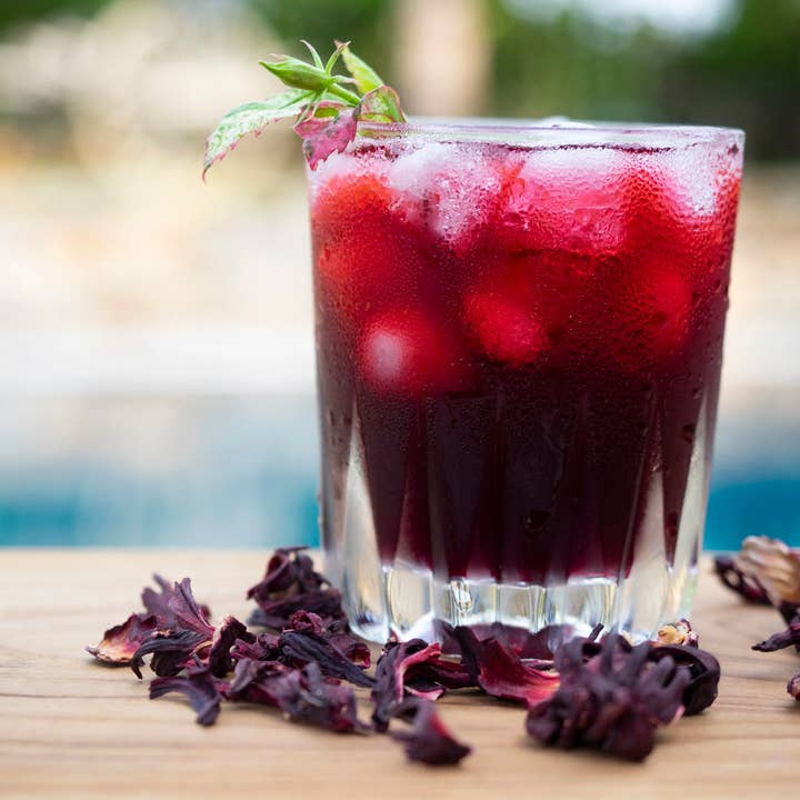 Organic Hibiscus Iced - Five 1 gal teabags for wholesale by British Tea Centre