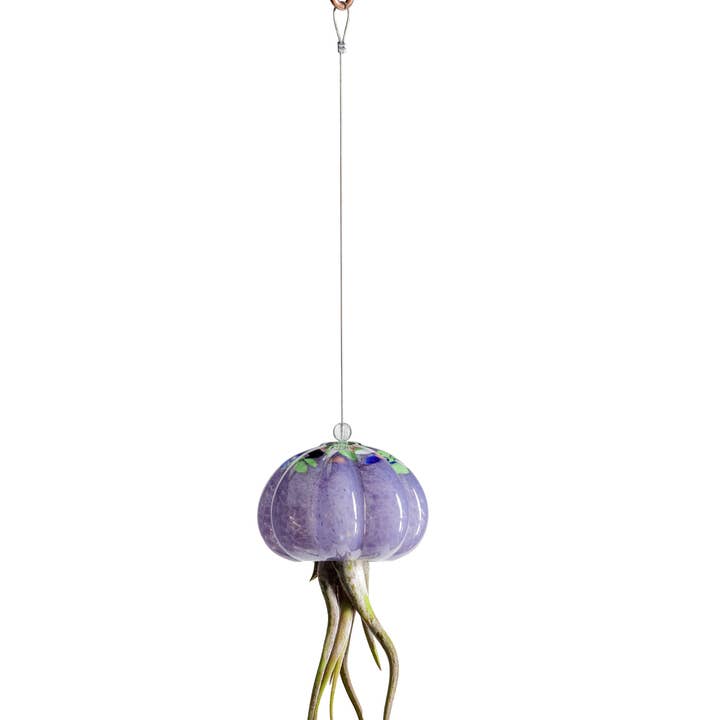 ApricotMint - Wholesale Hanging Planter - Cauliflower Jellyfish Air Plant Holder (plant not included)4
