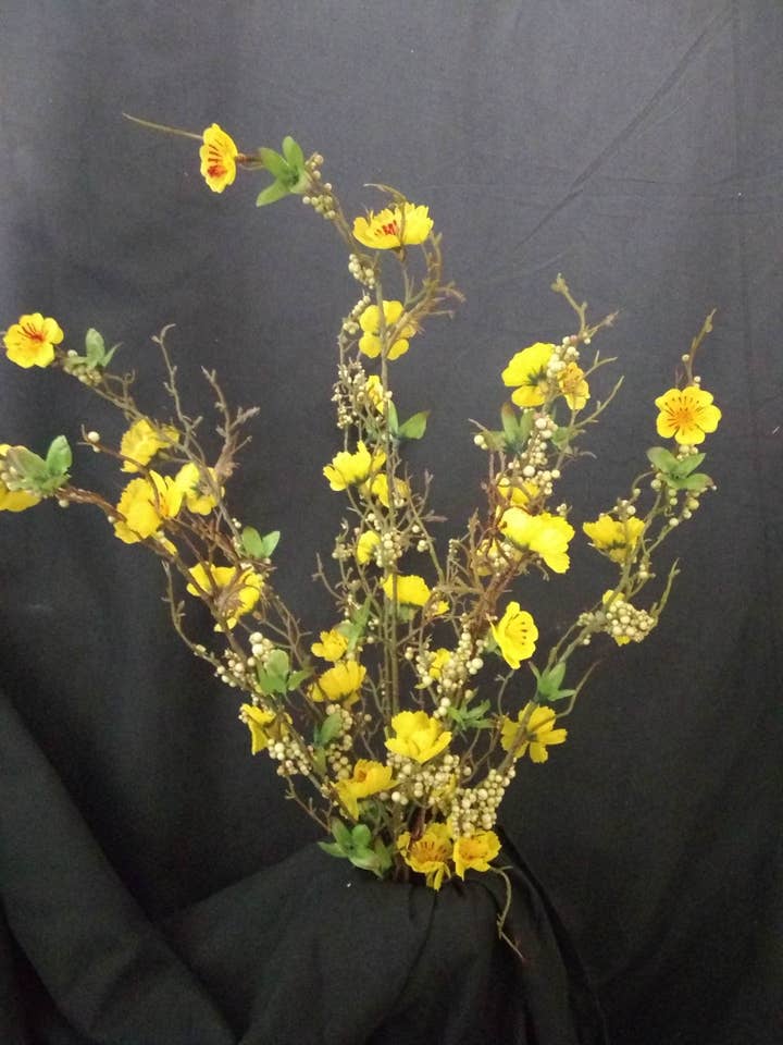 Buisson en fleurs de prunier jaune pour la vente par Gary's Wholesale