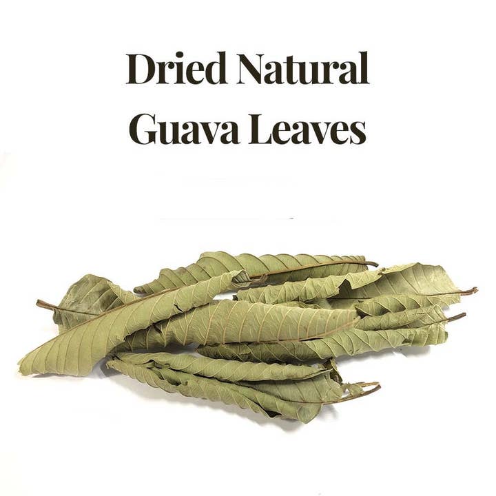 Akshit - Vente Thé en vrac - Feuilles de goyave séchées 2,6 oz | Tisane entièrement naturelle.2