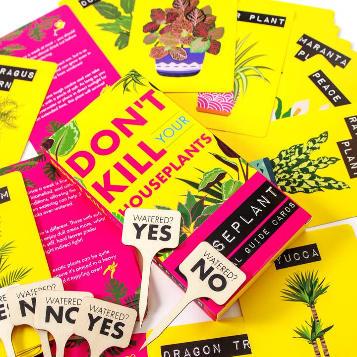 Boxer Gifts - Wholesale Card Game - Don't Kill Your Houseplants - Indoor Plant Survival Guide