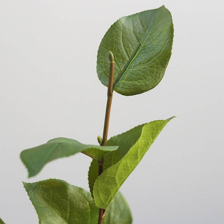 Prestige Botanicals - Vente Plantes artificielles - Tige de feuille de salal artificielle de 23 po2