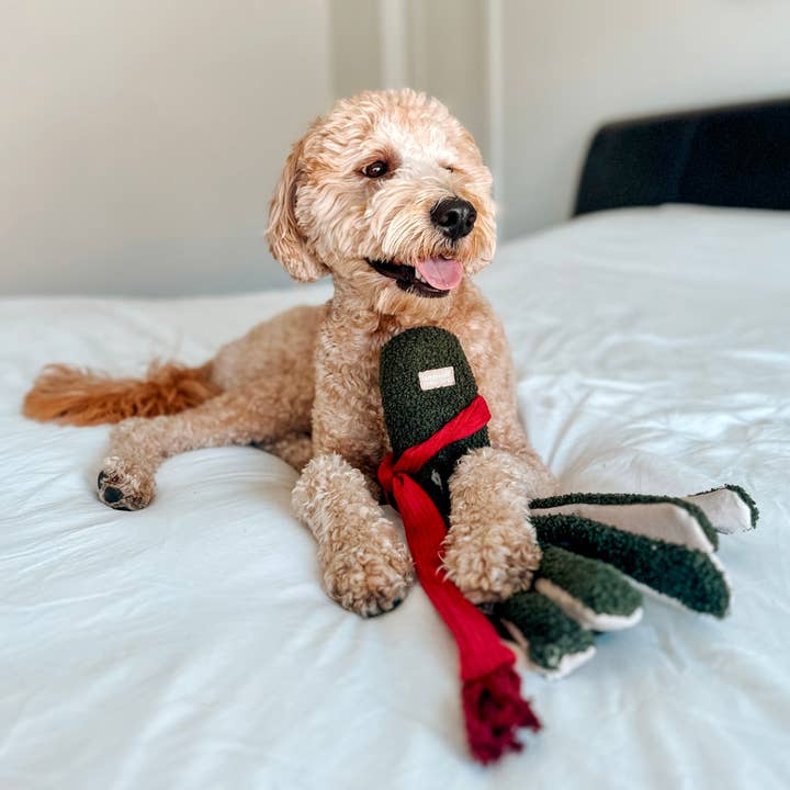 Lambwolf Collective - Wholesale Pet Squeaky Toy - Dog - TAKO//ENRICHMENT DOG TOY / HOLIDAY4