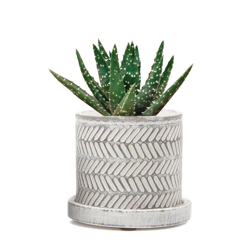 Chive UK - Wholesale Plant Pot - Balter Pot with Saucer for Houseplants, Cacti, Succulents7