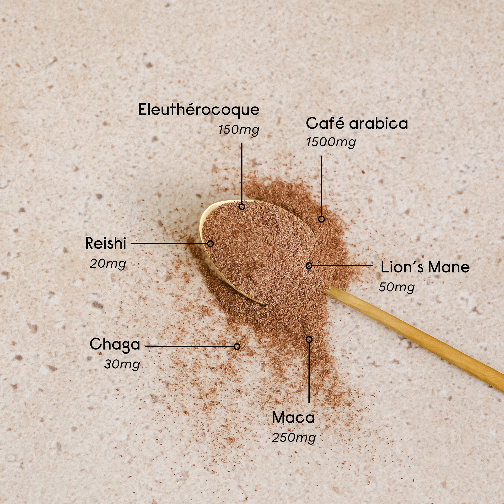 Hygée - Wholesale Ground Coffee - The Café+ (Organic)2